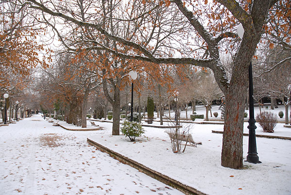 la nieve y el hielo es propio del invierno soriano