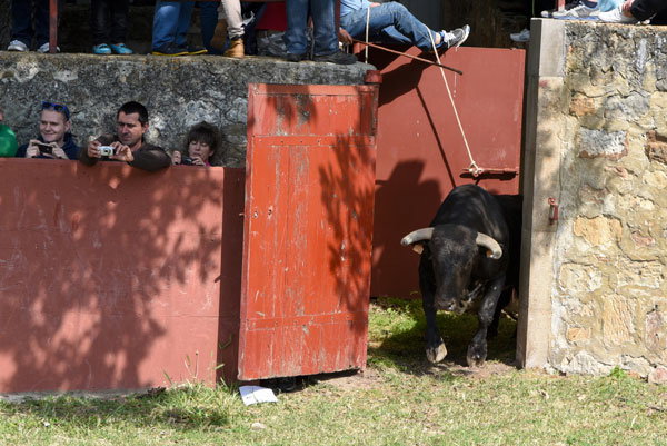 Nueva edición de exposición.concurso de fotografías antiguas de las fiestas de San Juan