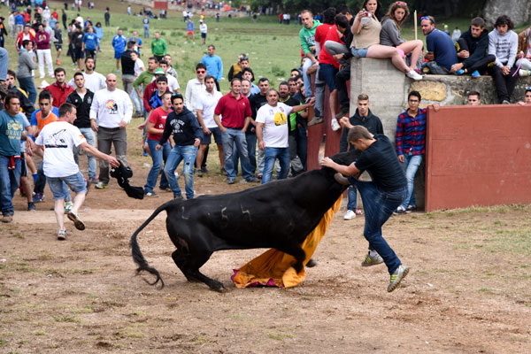 Los toros transmiten poca emoción en La Compra