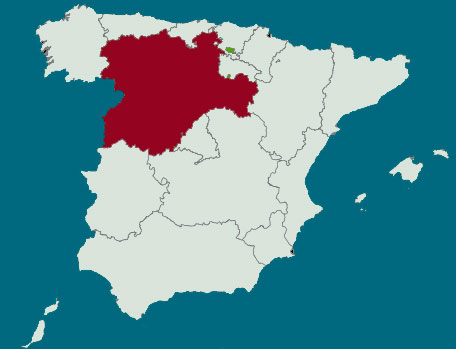 Castilla y León crecerá un 3,4 por ciento en 2015, según Funcas