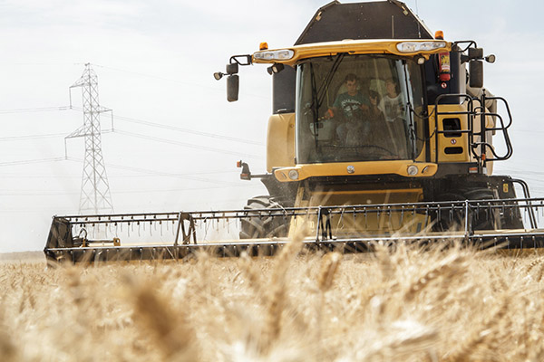 Aumento del 2 por ciento de la cosecha de cereal de invierno a pesar de la reducción de superficie... y la climatología 