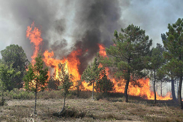 El PSOE presentará en las Cortes regionales una propuesta integral en materia de incendios forestales