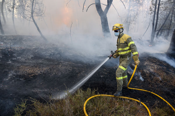 El Consejo de Ministros declara el incendio de Barcebalejo como zona de actuación inmediata