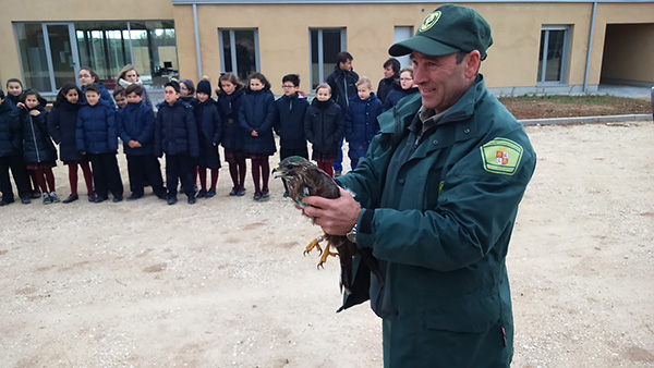 Los centros de Recuperación de Animales Silvestres de Castilla y León atienden a 14.800 animales 
