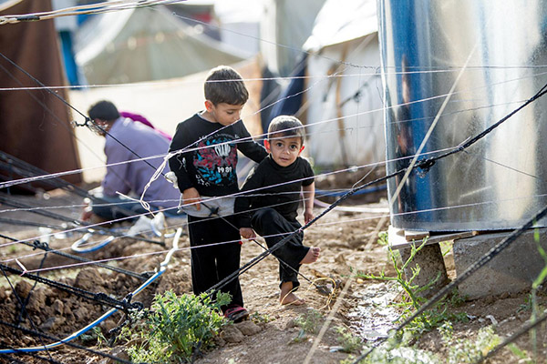La Diócesis de Osma-Soria se prepara para acoger a refugiados sirios