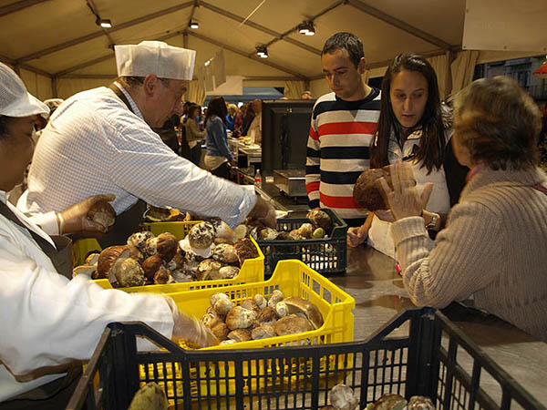 Mercasetas, Zhivago y otras ofertas para este fin de semana