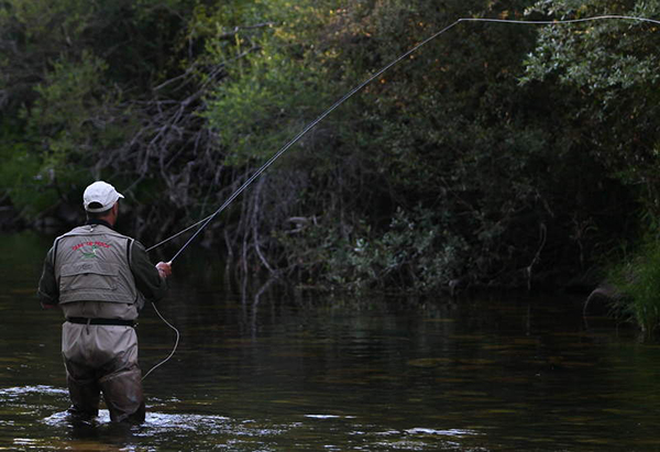 La Junta establece las normas para pescar en 2016 en la Comunidad