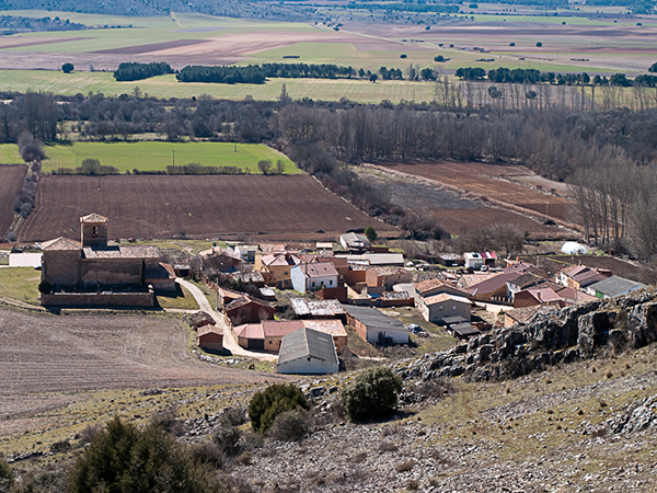 Seis viviendas de Andaluz sufren robos con fuerza