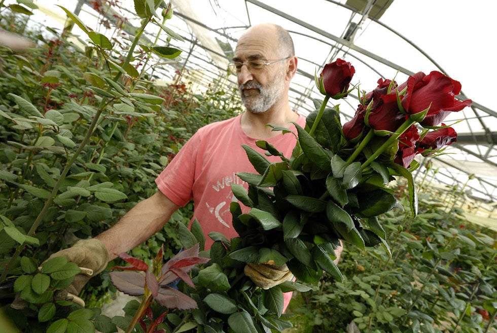 La Junta subvenciona la formación de los futuros trabajadores de Bionatur Roses en Garray