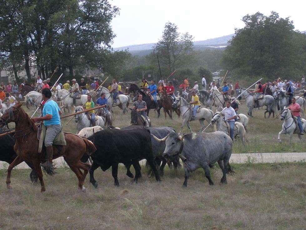 Los caballistas de La Saca tendrán que acreditarse el 23 y 24 de junio