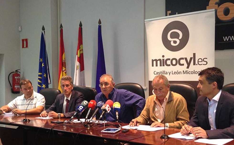 La UGAM Montes de Soria confía en el decreto de la Junta para frenar el furtivismo micológico