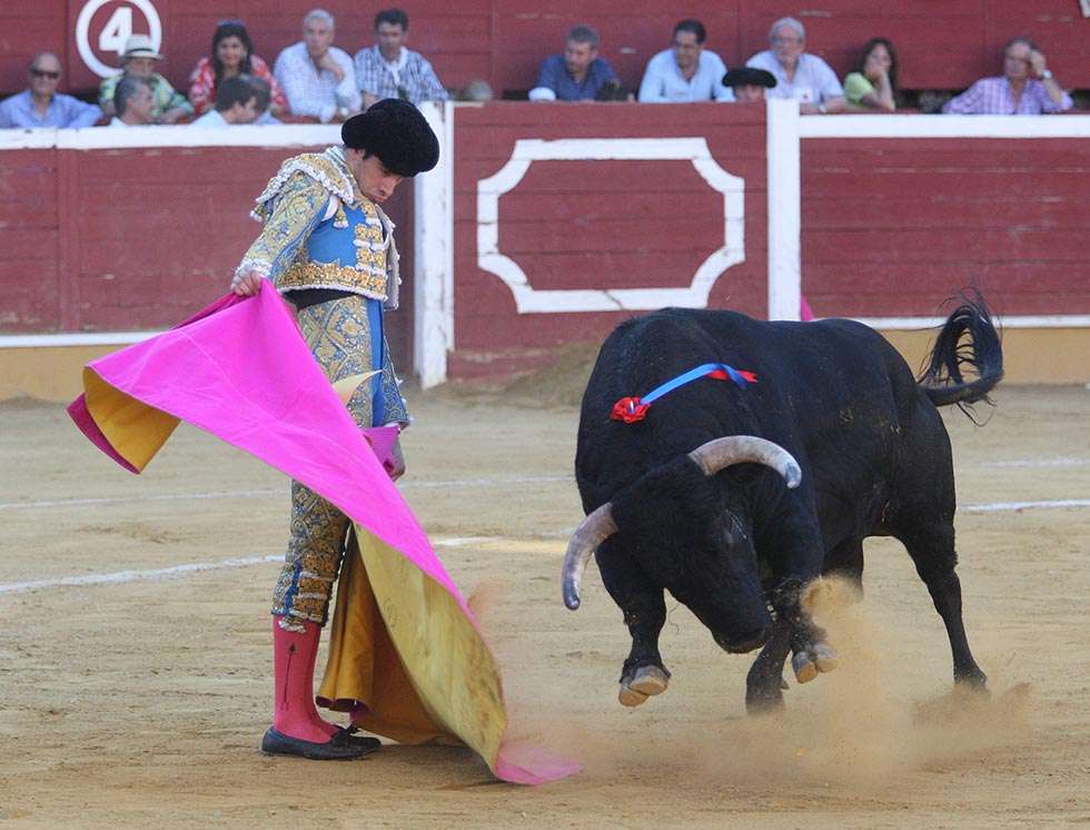 Desierto el trofeo Celtiberia al mejor toro de la feria de San Juan 2016