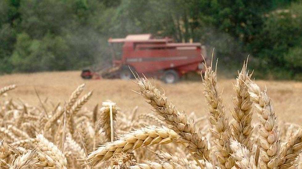 La Junta solicita a los agricultores que extremen las medidas de seguridad en la cosecha 
