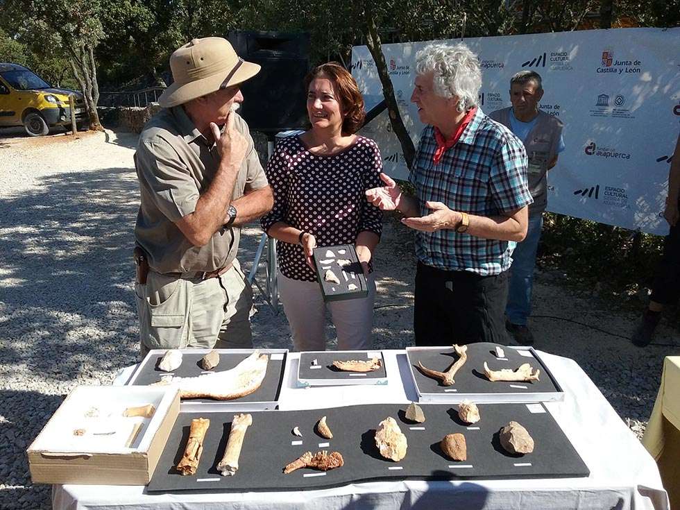 La Junta de Castilla y León incrementa su apoyo a los trabajos de investigación en Atapuerca