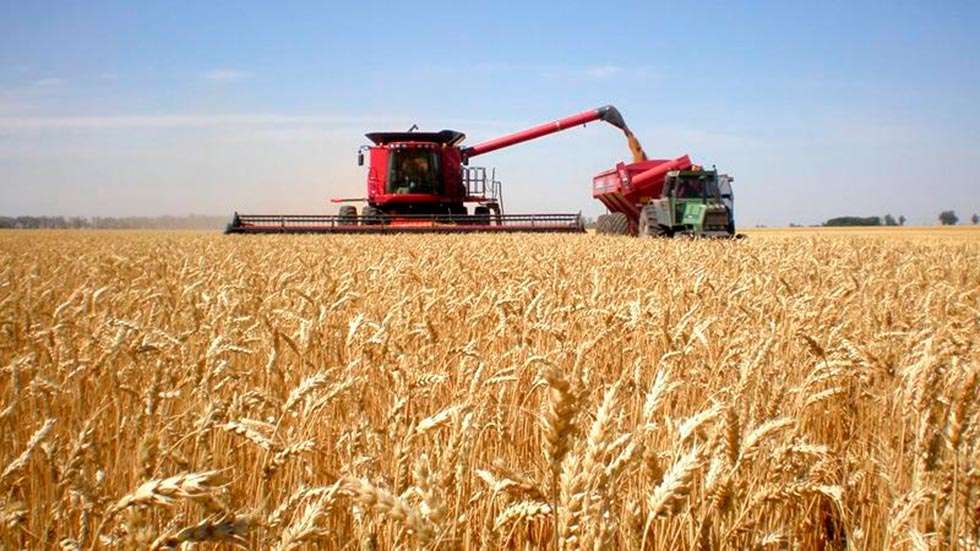 La cosecha cerealista de este verano, de las mejores de la última década