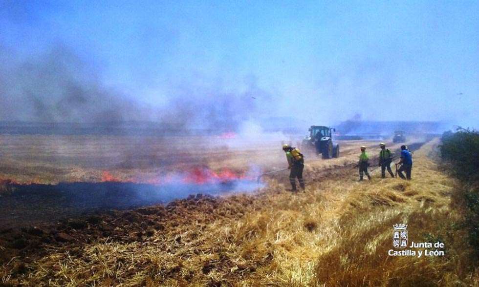 Sesenta y nueve hectáreas cerealistas, calcinadas en el incendio de Noviercas
