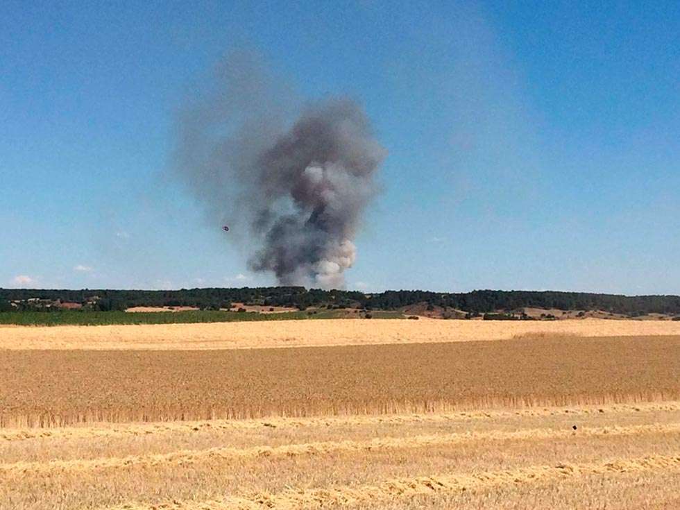 El incendio de Fuentepinilla se salda con 14,6 hectáreas calcinadas
