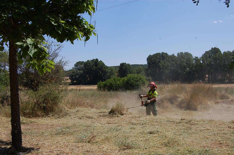 Las brigadas forestales han realizado ya labores de limpieza en 55 municipios