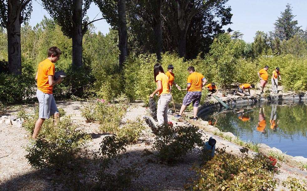 El programa de voluntariado ambiental, secundado por casi 800 voluntarios en 2016