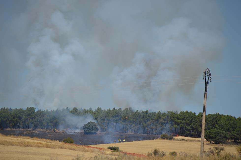 Incendio en un pinar de Fuensaúco