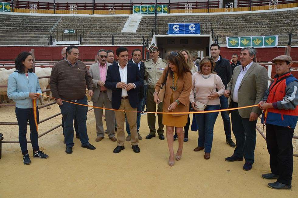 La VIII Feria Ganadera de Soria reivindica su historia