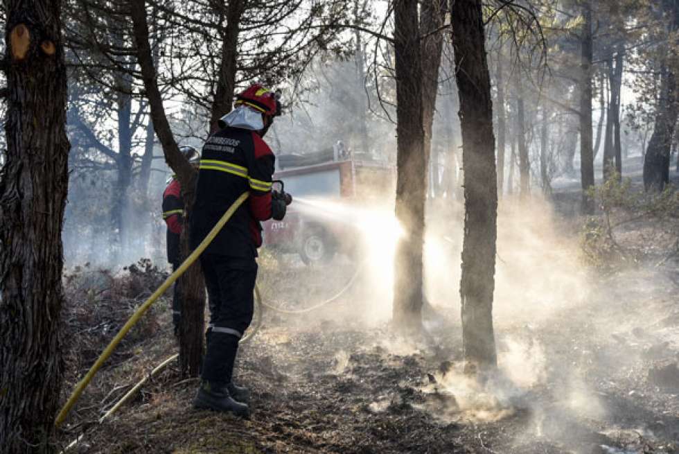 La Junta licita tratamientos silvícolas en los terrenos afectados por el incendio de Barcebalejo