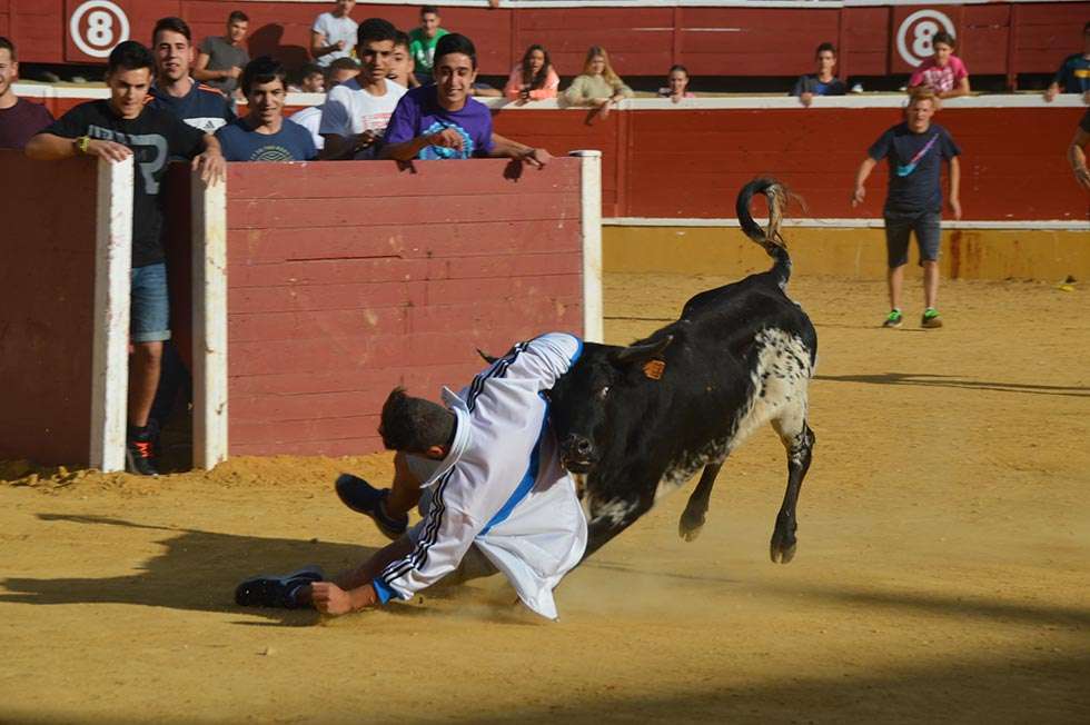 Los jóvenes se divierten con las vaquillas