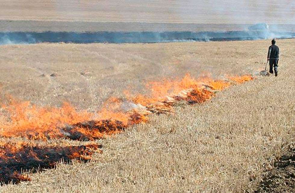 La Junta autoriza la quema de rastrojos de cereales en la Comunidad