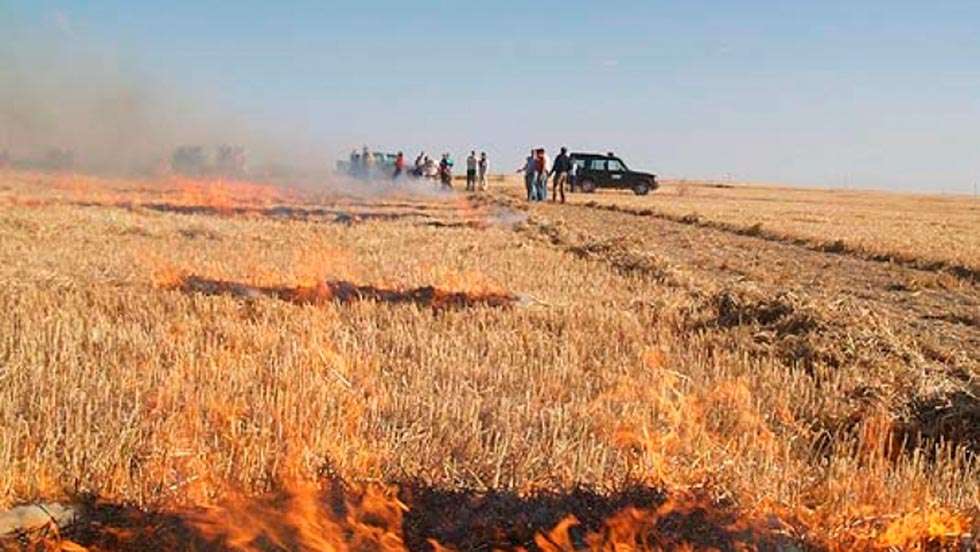 ASAJA-Soria pide que toda la provincia pueda quemar rastrojos