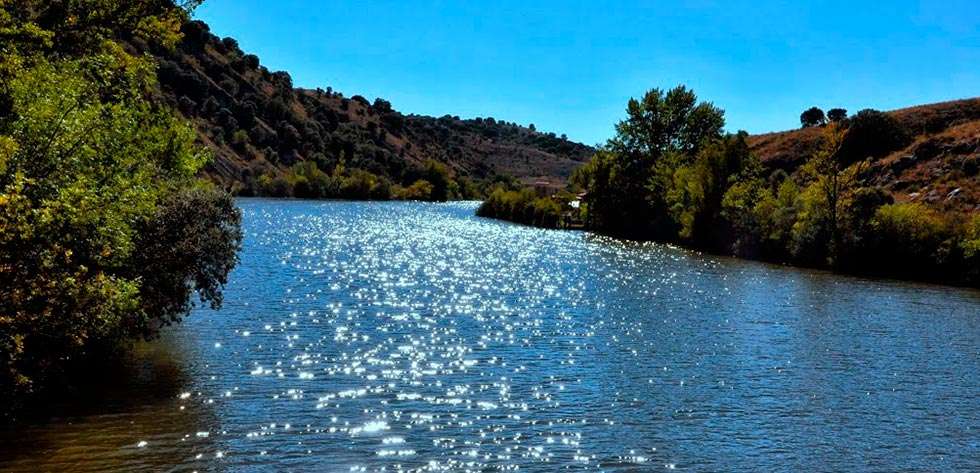 La Fundación Antonio Machado analiza lo que se puede hacer para proteger la Naturaleza