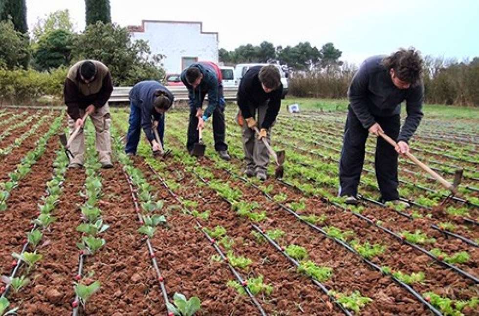 Huertos de Soria recoge el próximo lunes el premio Alimentos de España 2015