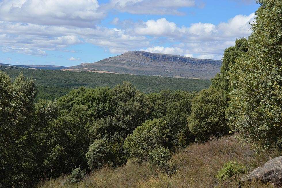 El CIEDA-CIEMAT plantea las nuevas perspectivas frente al cambio climático