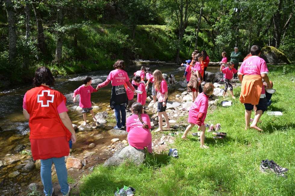 Más de 1.500 personas participan en el voluntariado ambiental en Castilla y León