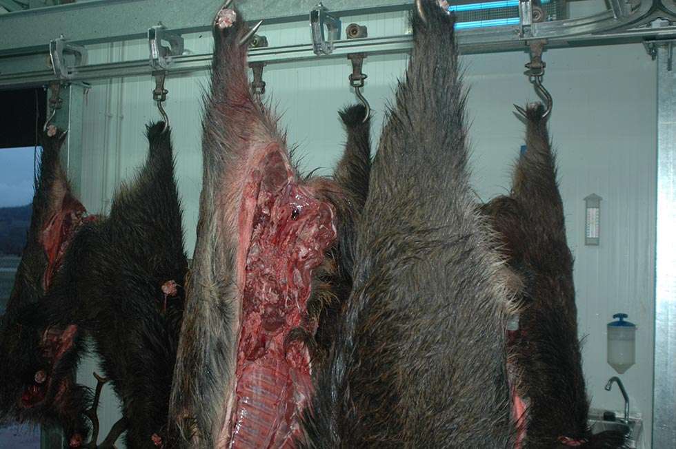 Denunciadas dos empresas que comercializan caza, por infracciones sanitarias