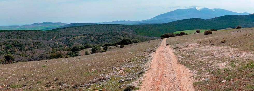 Ágreda planifica una ruta interpretativa por la sierra del Madero