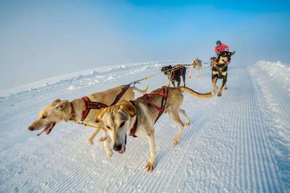 El olvegueño Jorge García, campeón de España de Mushing Nieve