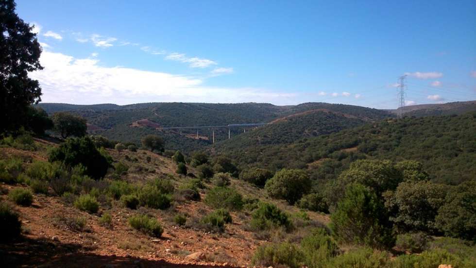 La Junta aprueba la declaración ambiental para una explotación trufera en Arcos de Jalón