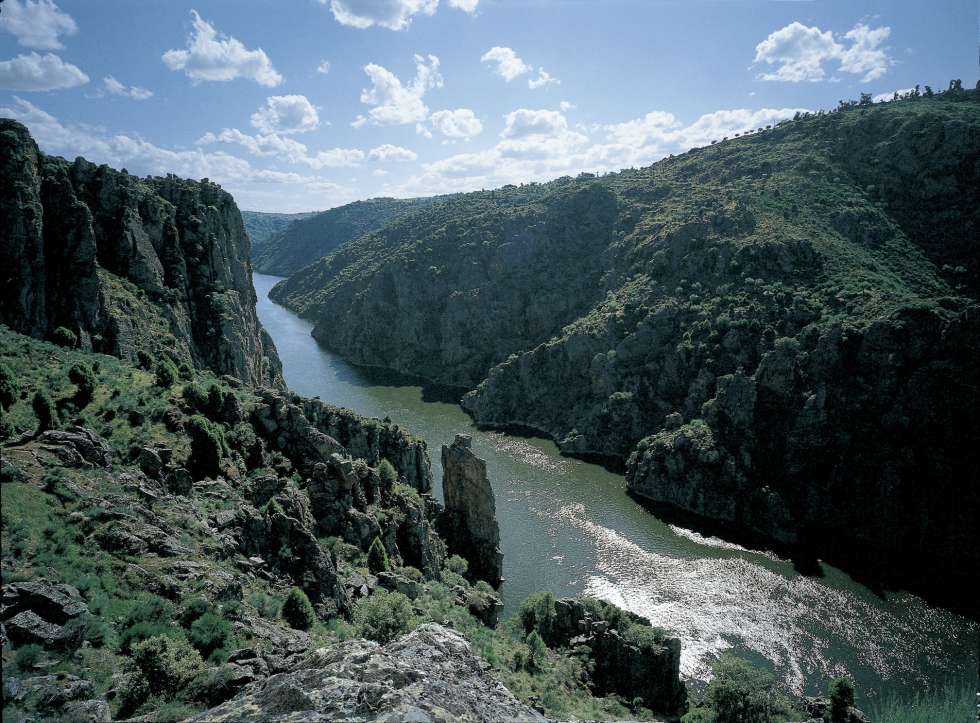 El proyecto Life Rupis continúa en Arribes del Duero y el parque natural do Douro