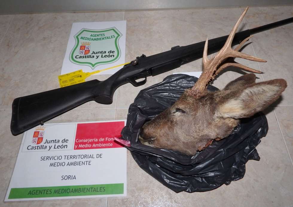 La Junta intensifica los controles ante la temporada de la caza del corzo