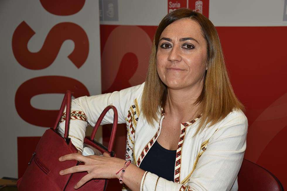 El PSOE quiere garantizar la ejecución presupuestaria del Plan Soria