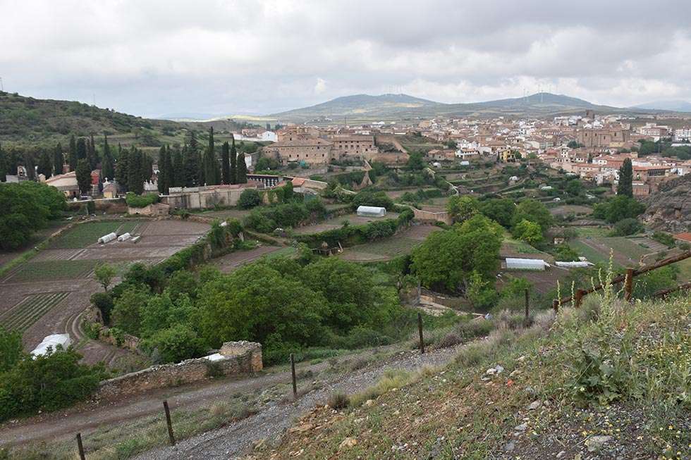 El PSOE presenta enmiendas en los presupuestos para el sector agrario