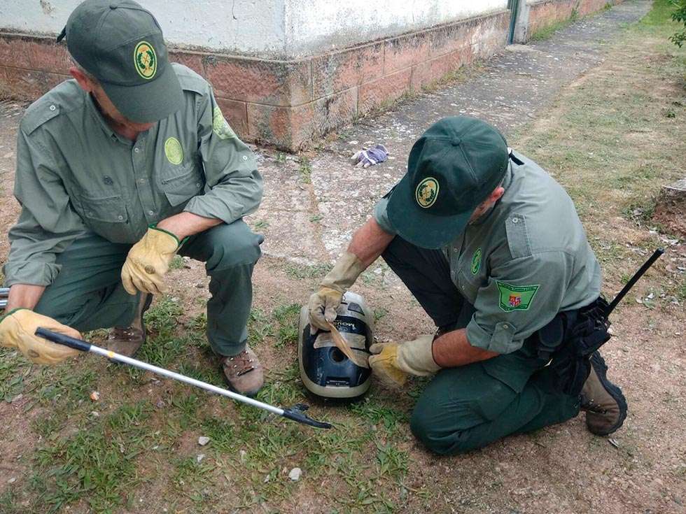 Una culebra, "escondida" en una aspiradora