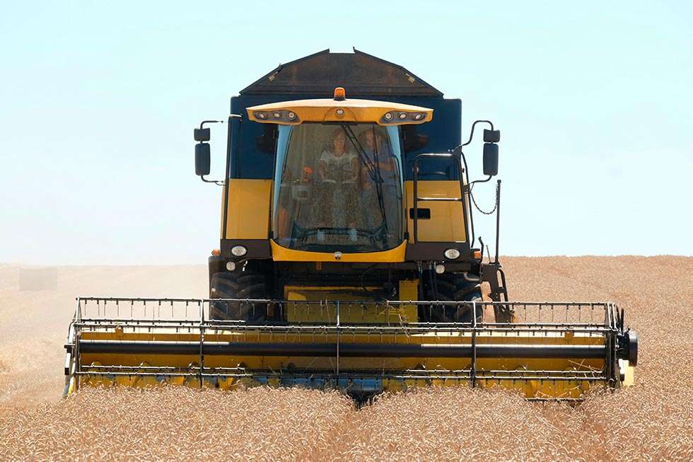 La cosecha de cereal de invierno en Castilla y León alcanza 2,6 millones de toneladas