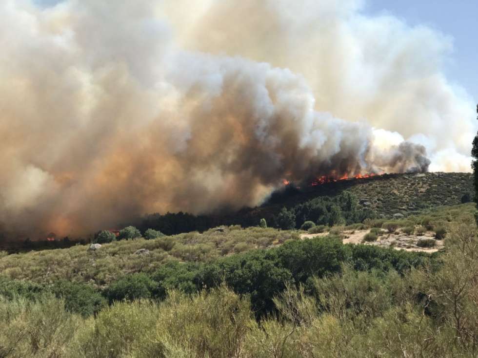 Declarado nivel 2 en un incendio forestal en Navarredonda (Ávila)