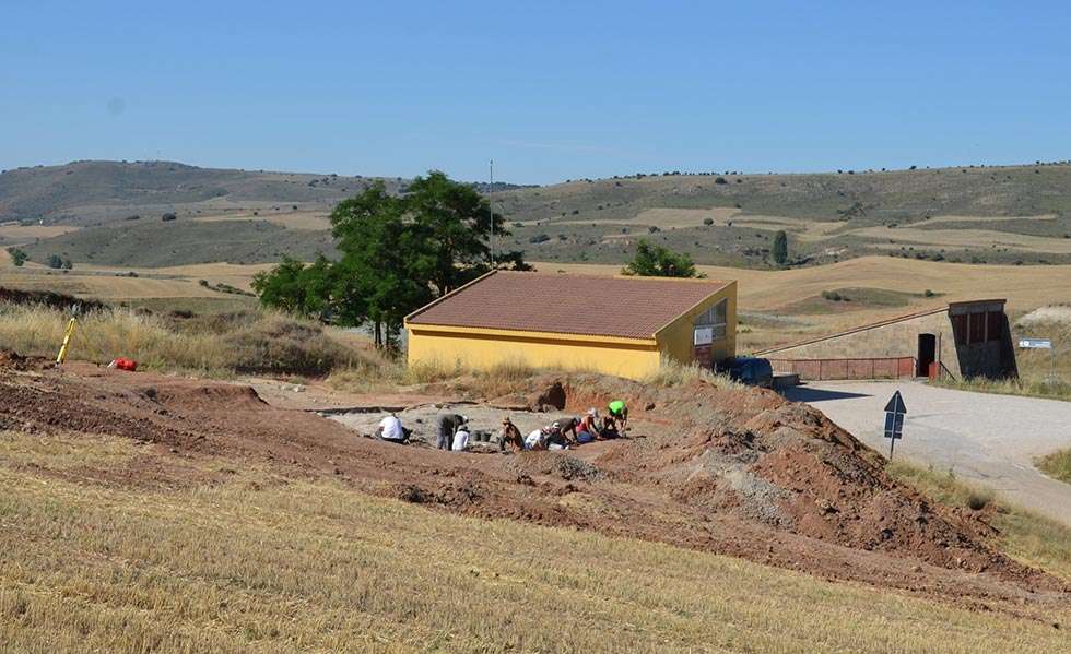 Ambrona sigue protagonizando un verano más el estudio del Paleolítico en España