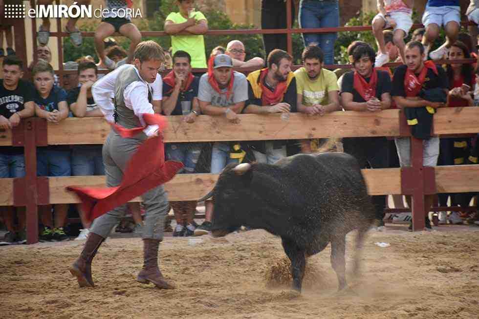 Noviercas arrienda bar de la plaza para fiestas patronales