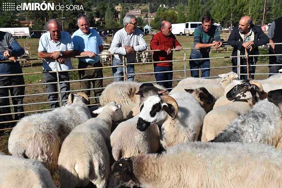 La Diputación destina casi 6.000 euros a las ferias ganaderas de la provincia