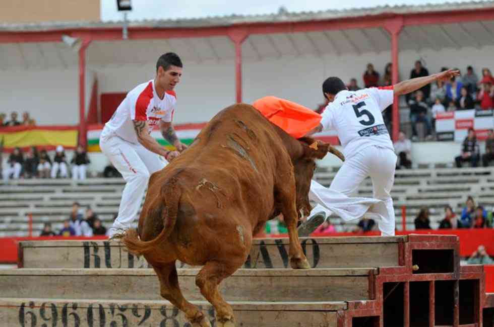 "Especial Arriazu" abre los festejos taurinos de las fiestas de Ágreda "Especial Arriazu" abre los festejos taurinos de las fiestas de Ágreda