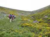 Noviercas asciende al Moncayo