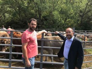 Éxito de profesionales y público en la concentración de ganado de Montenegro de Cameros